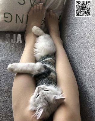 亚洲国产日韩欧美久久_蓝光高清完整版播放